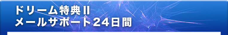 ドリーム特典Ⅱ メールサポート24日間